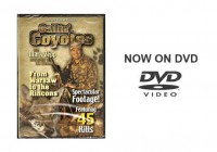 Callin’ Coyotes with Mark Zepp DVD