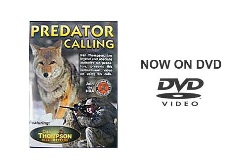 Predator Calling With Dan Thompson DVD