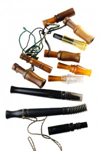 Types of game calls